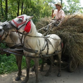 inchirirere microbuze pentru vacante